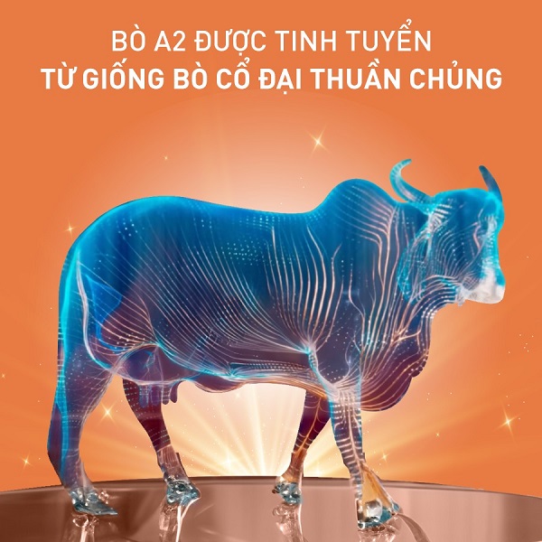 Sữa Nan InfiniPro A2 số 1 lon 800g cho trẻ 0-12 tháng