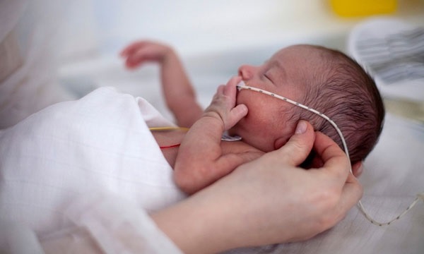 Sữa Modilac Prema lon 400g cho trẻ sinh non nhẹ cân