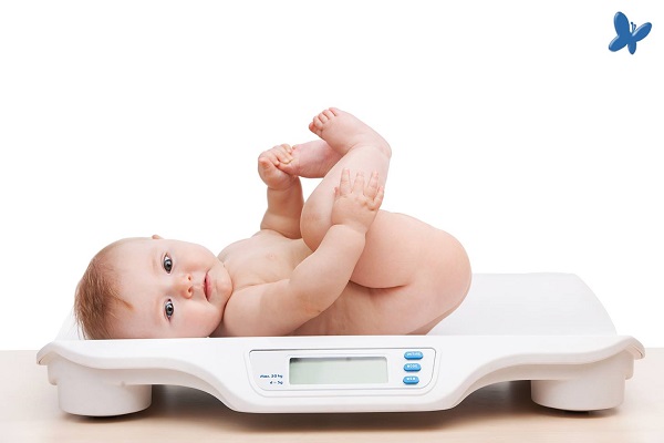 Sữa Modilac Prema lon 400g cho trẻ sinh non nhẹ cân