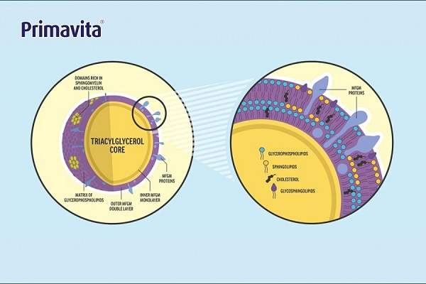 Thùng Sữa pha sẵn tăng chiều cao Primavita Grow-Q hộp 110ml