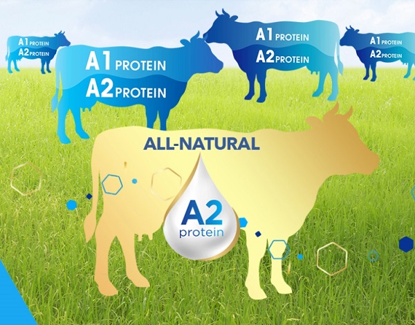 Sữa Primavita Premium số 2 lon 800g cho trẻ từ 6-12 tháng