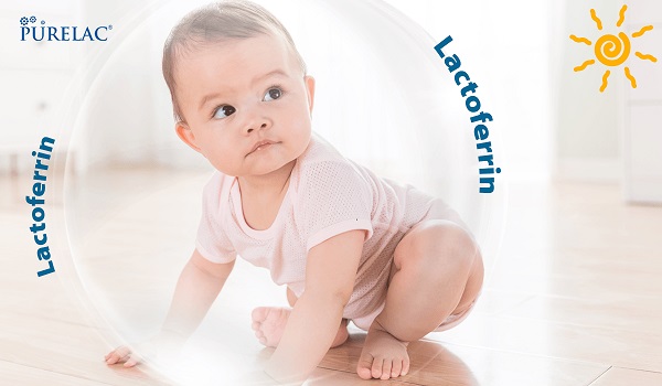 Sữa PureLac số 1 lon 260g cho trẻ 0-6 tháng