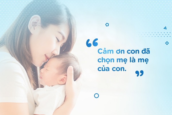 Sữa PureLac số 1 lon 260g cho trẻ 0-6 tháng