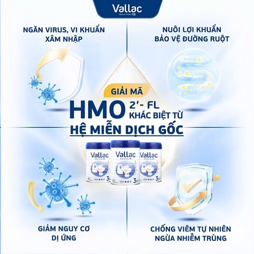 Sữa Vallac số 2 lon 800g cho trẻ từ 6-12 tháng