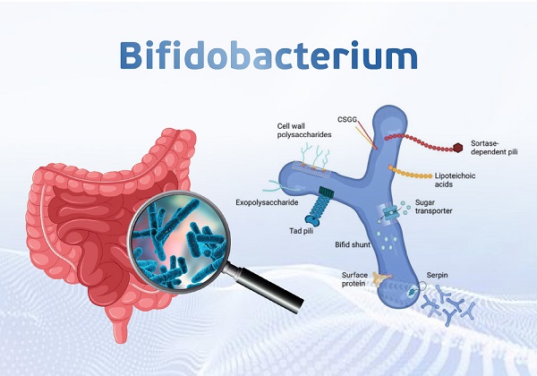 Sữa  Vallac số 3 lon 800g cho trẻ từ 1-3 tuổi