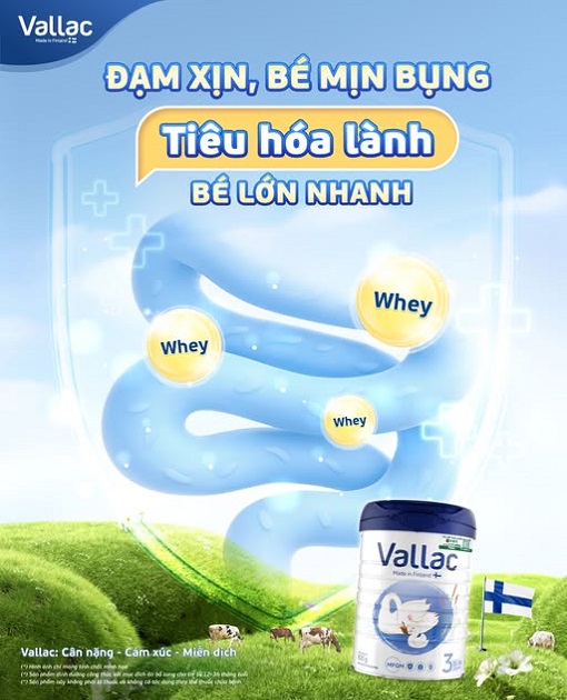 Sữa  Vallac số 3 lon 800g cho trẻ từ 1-3 tuổi