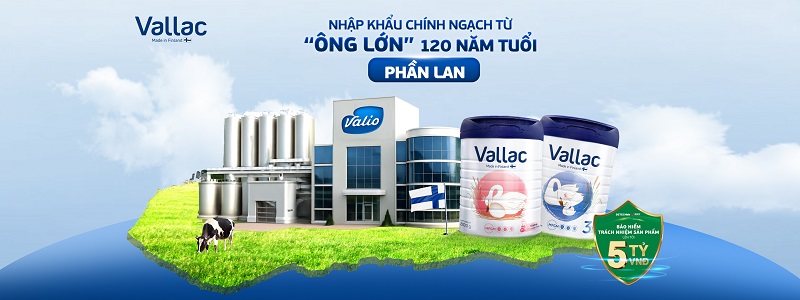 Sữa Vallac số 2 lon 800g cho trẻ từ 6-12 tháng