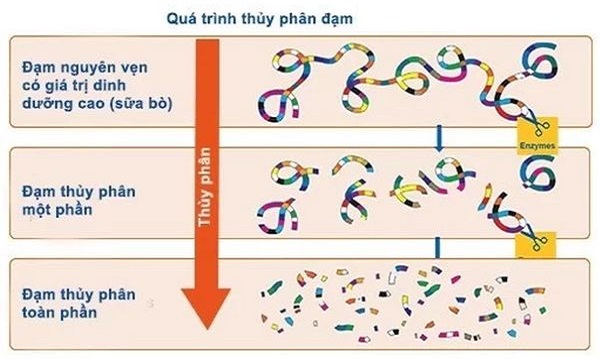 Sữa Aptamil AllerPro SYNEO số 3 lon 900g cho trẻ từ 1 tuổi