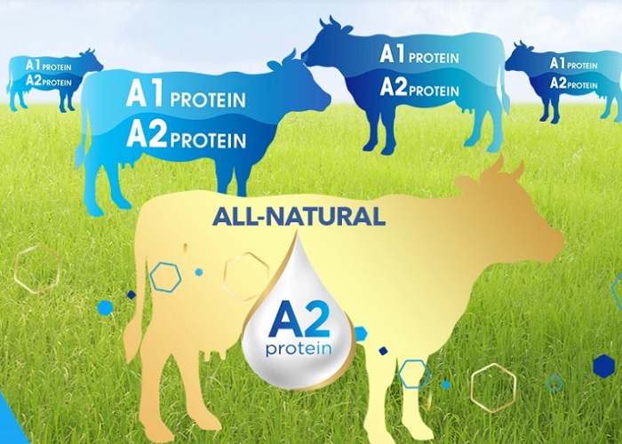 Sữa tươi nguyên kem Arla Organic A2 hộp 200ml