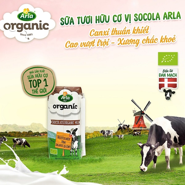 Sữa tươi Arla Organic vị Chocolate hộp 200ml