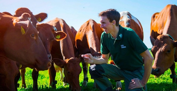 Sữa tươi Ít béo Arla Organic hộp 1 Lít