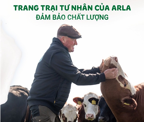 Sữa tươi nguyên kem Arla Organic hộp 200ml