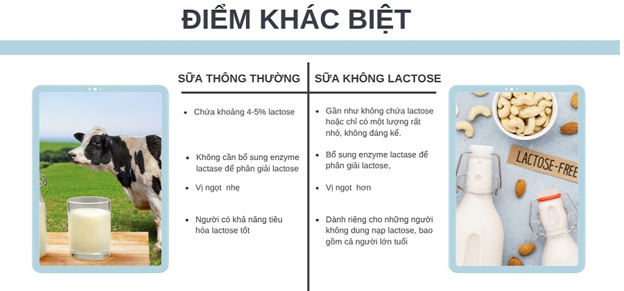 Sữa tươi Liddells Lactose Free nguyên kem Úc hộp 1 Lít