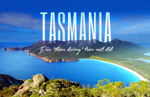 Thùng sữa tươi Úc Moozi ít đường hộp 180ml