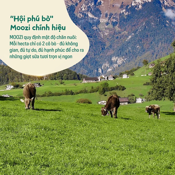 Thùng sữa tươi Úc Moozi ít đường hộp 180ml