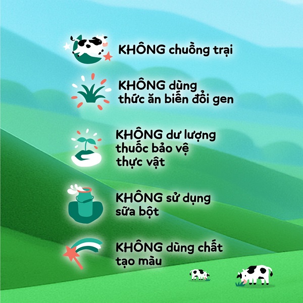 Thùng sữa tươi thạch Moozi hương dưa lưới hộp 170ml