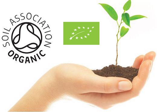 Sữa tươi hữu cơ Daioni Organic ít béo hộp 1 Lít