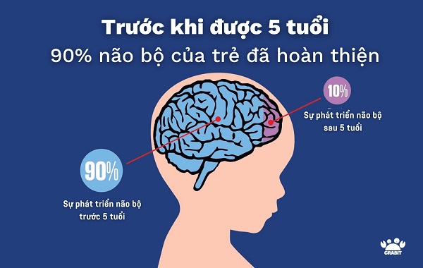 Top sữa phát triển trí não cho bé thông minh vượt trội