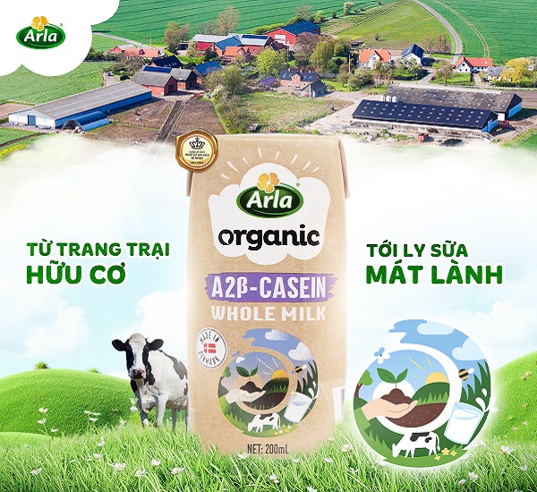 Các loại sữa tăng cân cho bé hiện nay được nhiều người khuyên dùng