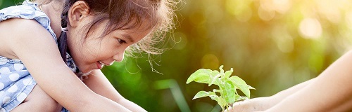 Chương trình khuyến mãi sữa Kid Essentials Úc