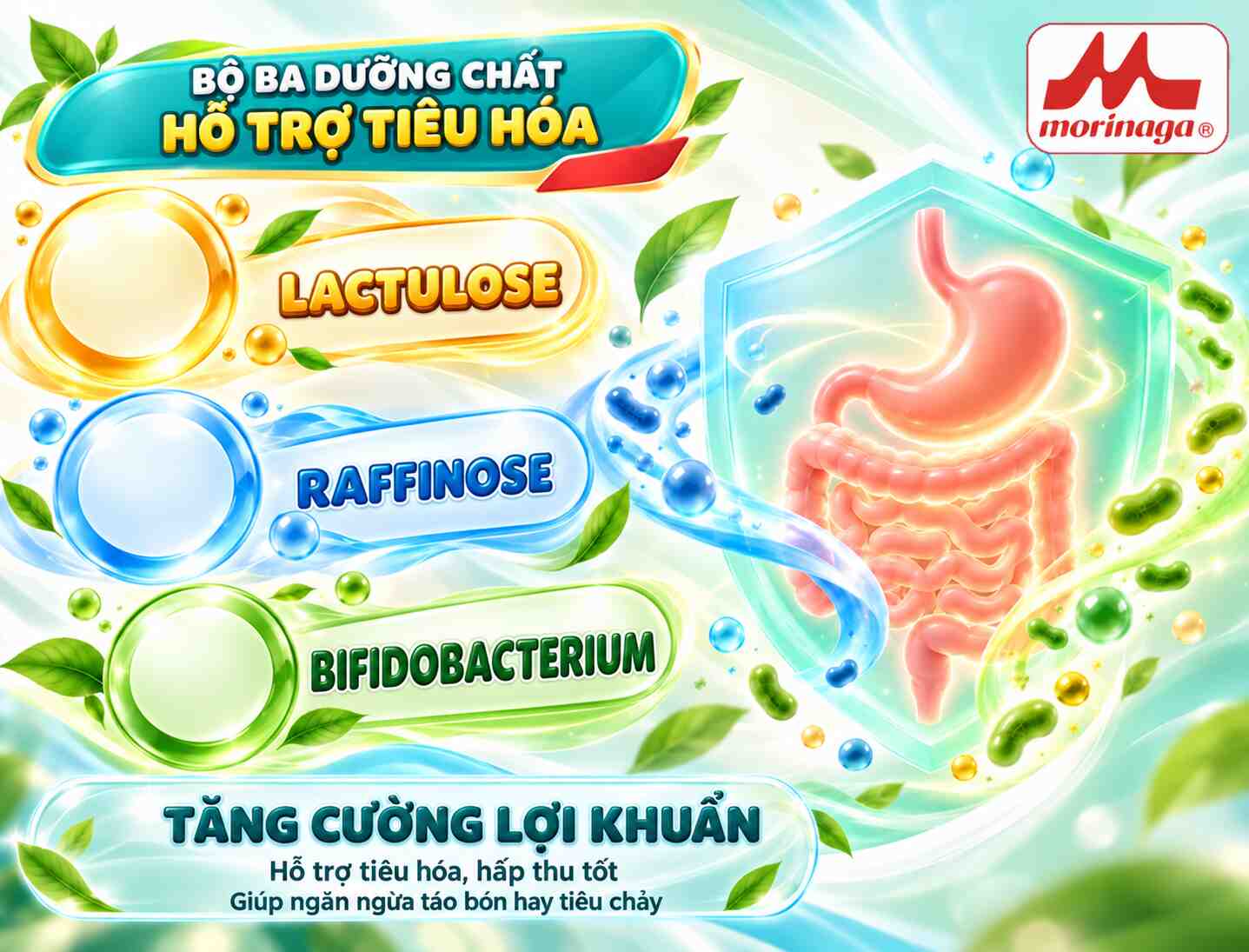 Chương trình khuyến mãi sữa Morinaga Nhật Bản