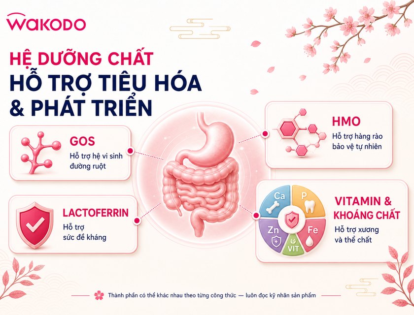 chương trình khuyến mãi sữa wakodo nhật bản